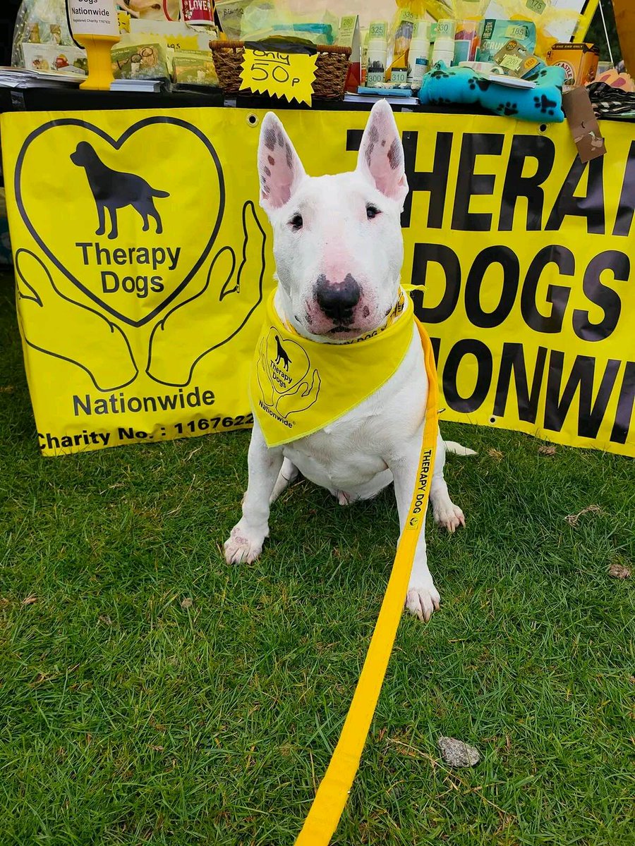 NEDogFest's tweet photo. https://t.co/z2ULlXRO5g

#therapydog @TherapyDogsUK #bullterrier #northeastdogfestival #nedf #dogfestival https://t.co/CAaqMD5G9d