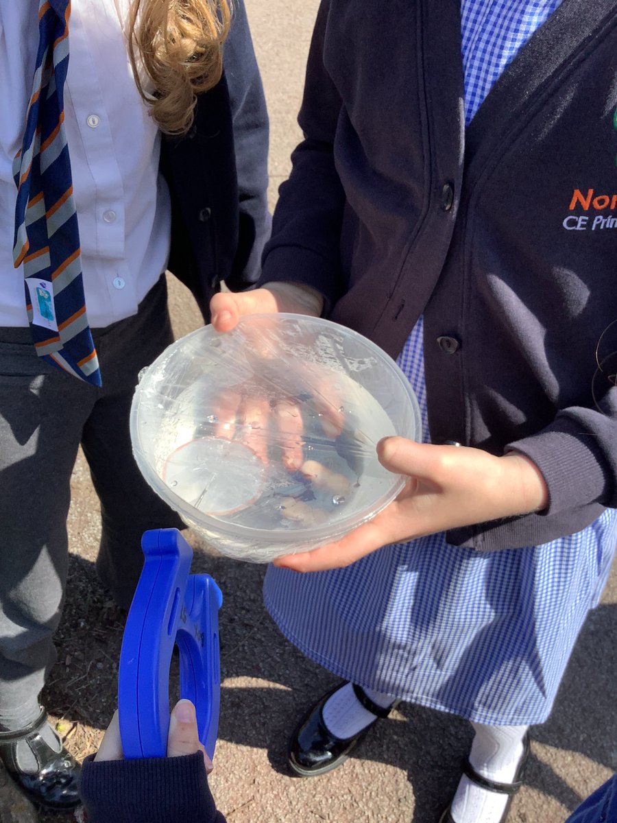 NPS3DJ's tweet photo. This afternoon in science we had a fab time creating magnetic compasses with sewing needles, water and baking paper! We even managed to find some magnetic treasure hidden in the playground using our compasses! 🔎 🧲 #NPS #NPS3H #NPSScience https://t.co/ttPeOdpbsh