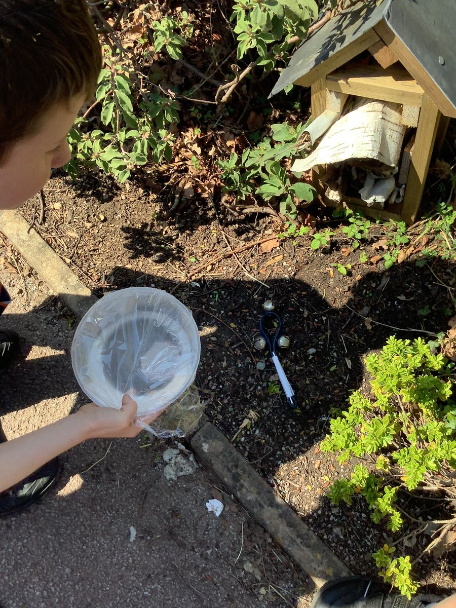 NPS3DJ's tweet photo. This afternoon in science we had a fab time creating magnetic compasses with sewing needles, water and baking paper! We even managed to find some magnetic treasure hidden in the playground using our compasses! 🔎 🧲 #NPS #NPS3H #NPSScience https://t.co/ttPeOdpbsh