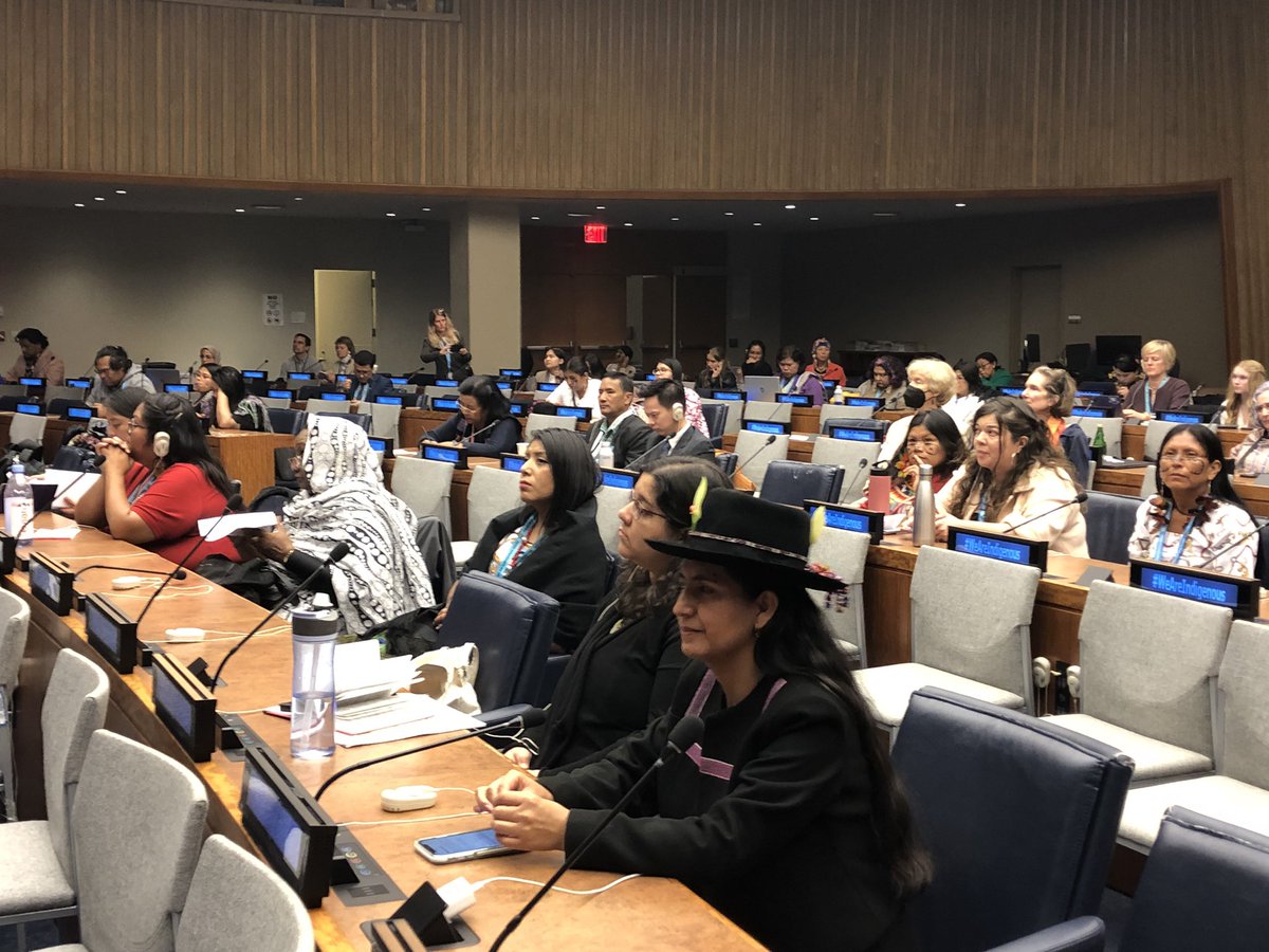 IIWF's tweet photo. Several years ago we organized in our communities to start this process Today we see our voice reflected in the first #CEDAW GR for Indigenous Women’s and Girls Now we are going for it’s dissemination and implementation in our countries #indigenousWomen #WeAreIndigenous  #UNPFII https://t.co/A1U0pcdN3U