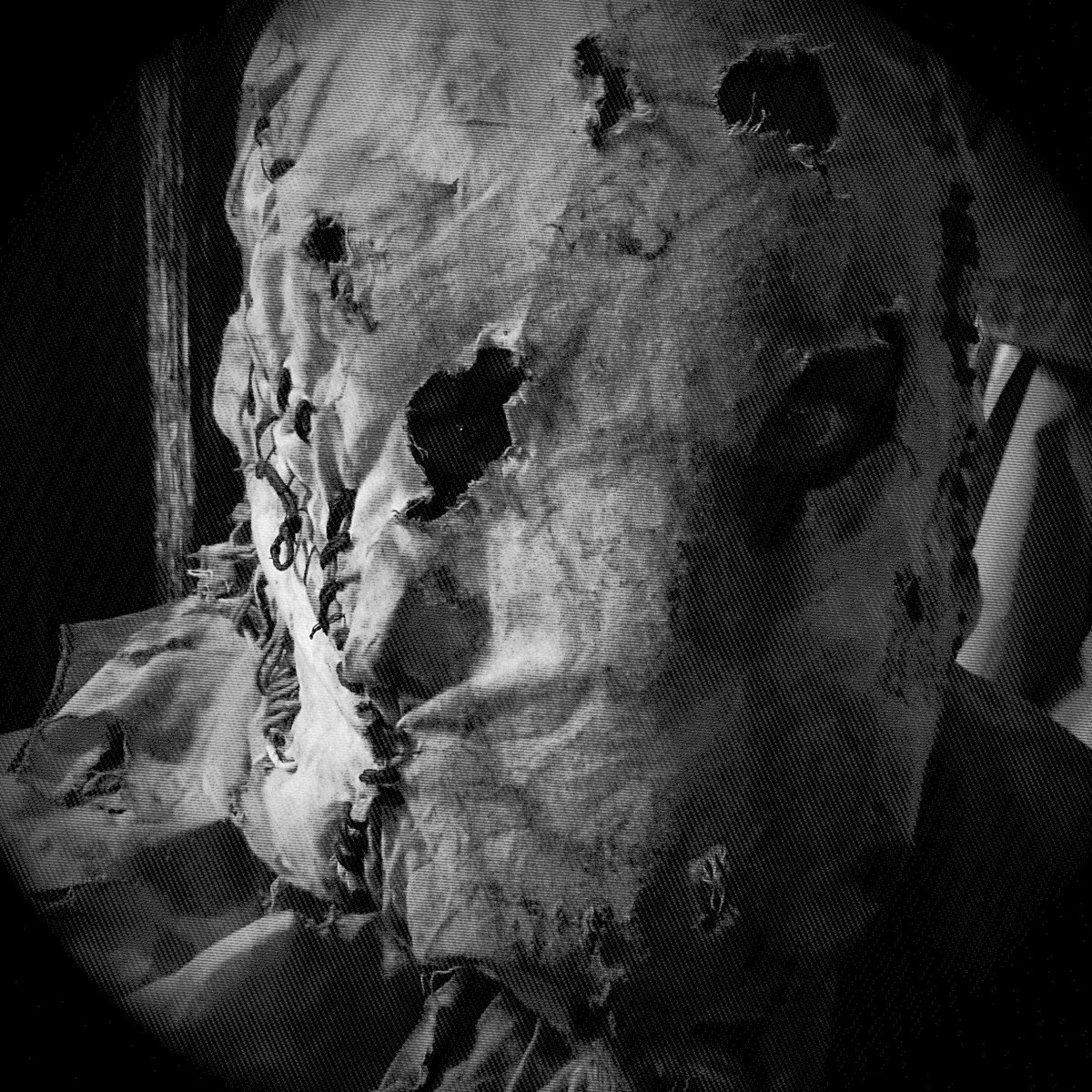 NecroDccs's tweet photo. Hello #Twitter I'll be here to keep tabs on the DCCS legion give me a #follow if you're into #horror #sideshowacts #circus #Dangerous #beasts #underground #oddities #goth #dark #scary #hauntedhouse #Halloween #bedofnails #Strongman #firebreathing #humanblockhead https://t.co/yFGBwtltPV