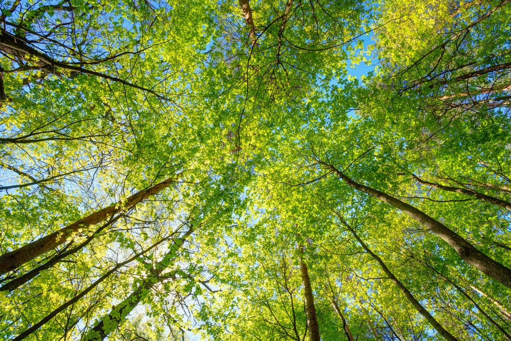Learn more about the installation and operation of #renewables and #lowcarbon schemes on farms and estates through the case studies on our website – energy-now.co.uk  #onfarmrenewables #onfarm #renewables
