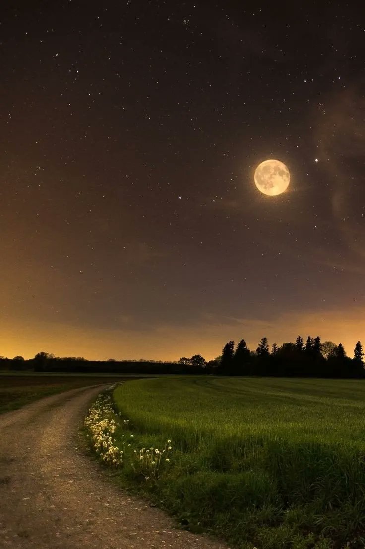 aestheticspost_'s tweet image. full moon