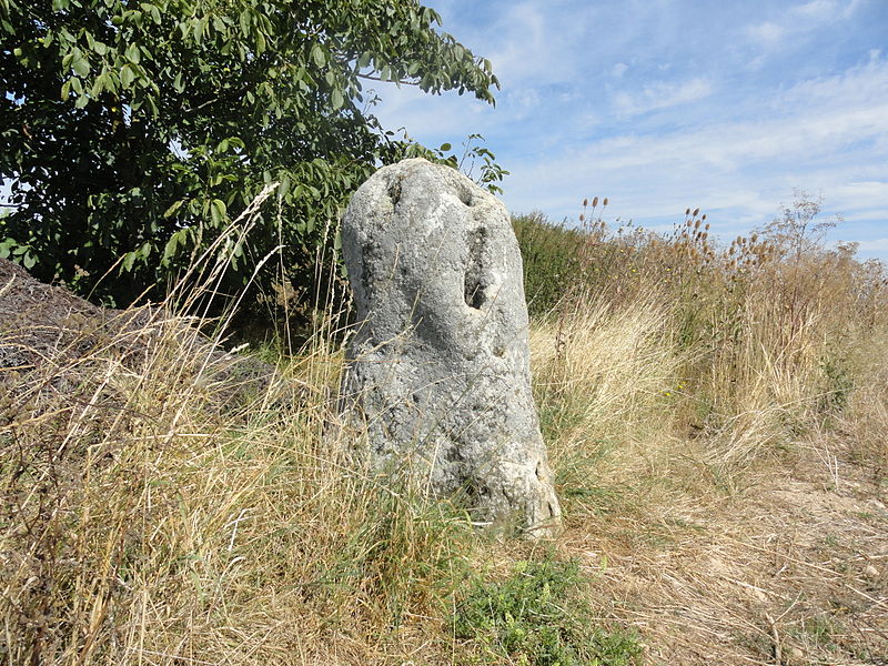 MonumentumFr's tweet photo. Menhir de Haute-Borne (également sur communes de Cramant et Avizé) à #Oiry (#Marne) Construction Néolithique. Menhir de Haute-Borne : classement par liste de 1889.
Suite 👉 https://t.co/6HTVeYGUnU
#Patrimoine #MonumentHistorique https://t.co/U5QHaDw0xT