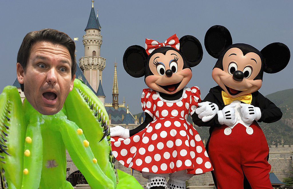 Cardboardi B tweet media