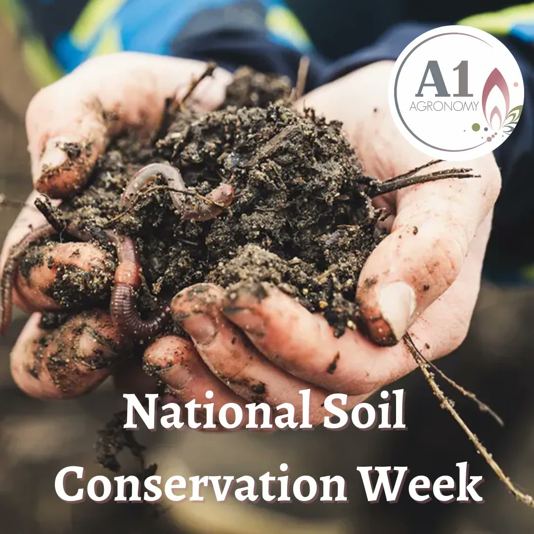 a1agronomy's tweet photo. Soil is a big deal and it's what we as Agronomists study in and out each and every day!
Soil sustains our rural communities. It grows our food. It even cleans our air and water and supports biodiversity.
Happy National Soil Conservation Week! 🌱 

#Soilconservationweek #Agtwitter https://t.co/gA31VJS98Y