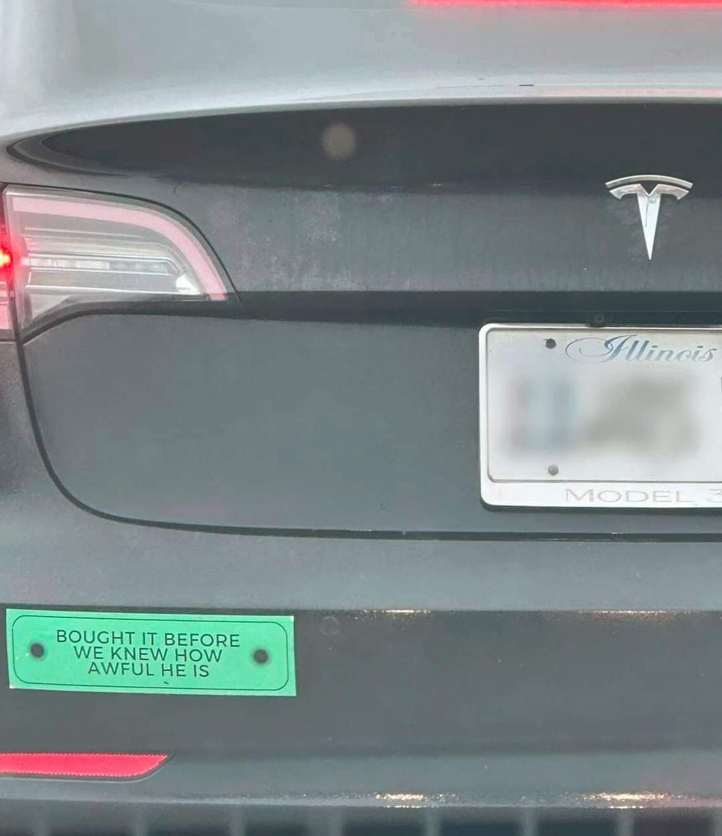 Mindful Phoenix tweet media