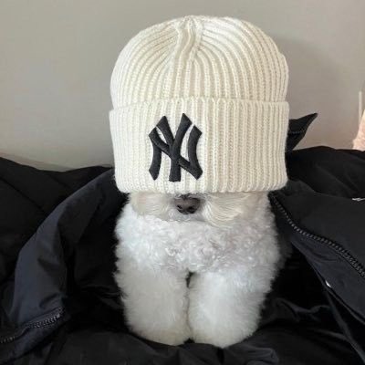 twaniimals's tweet photo. https://t.co/dYgBTLUyQy