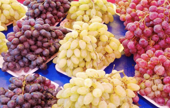 Bağcılık yapan günümüz çiftcileri arılar ve kuşlar üzümlerinden yer diye ödü kopar 

 Bu çiftçiler arıları ve kuşları öldürmek için üzümlere zehir atar. 

Salkımında tek çürük ve leke istemeyen tüketiciler ise  bu zehir sıkılmış parlak  üzümleri iştahla yer.