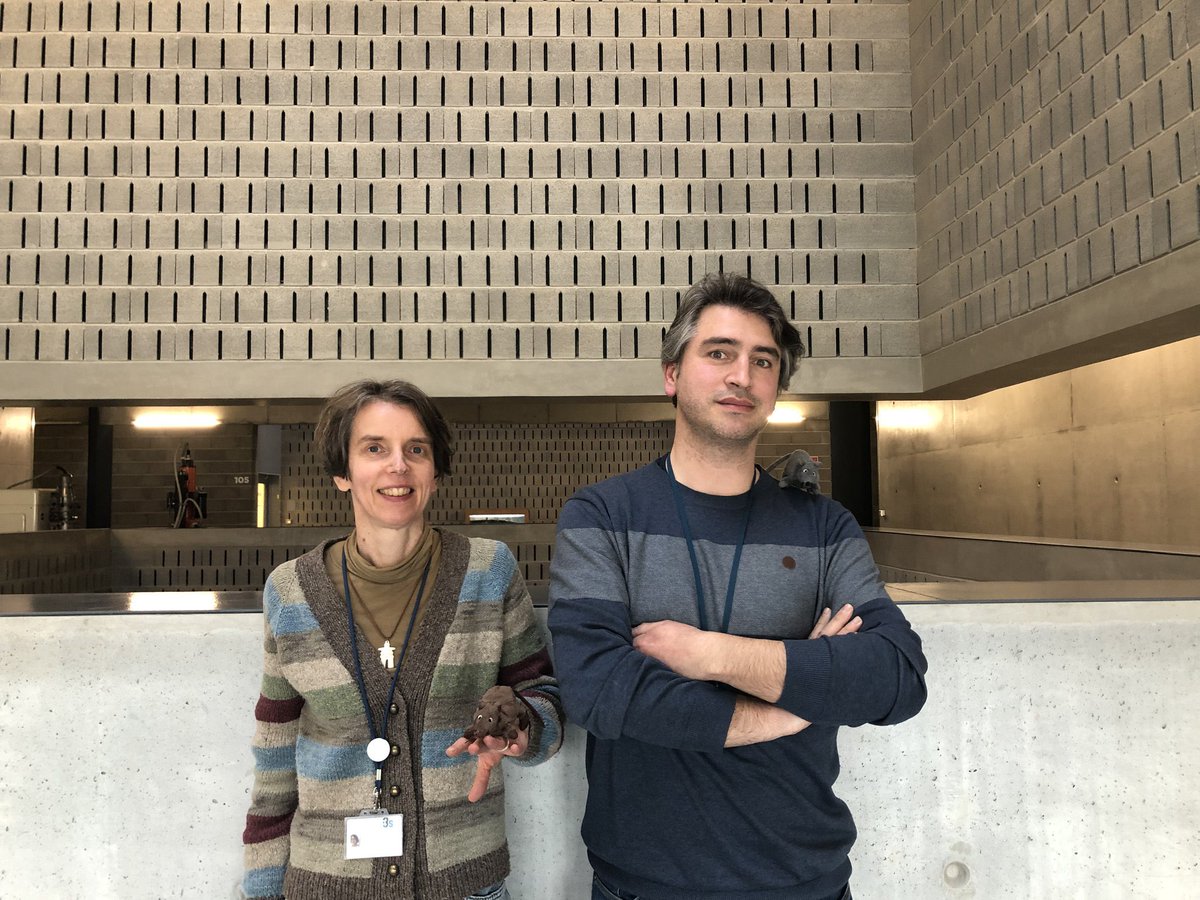 estetoscopiopod's tweet photo. Esta quinta-feira lançamos o segundo episódio do @estetoscopiopod! 🙌🎙️

Desta vez o tema é Experimentação Animal e temos @animalogues e @Nuno_H_Franco do @i3S_UPorto a discutir o porquê de ainda precisarmos de animais de laboratório. 🐁🐀🔬

Não percam! 🤩⏰ https://t.co/UkRnV8PcTp