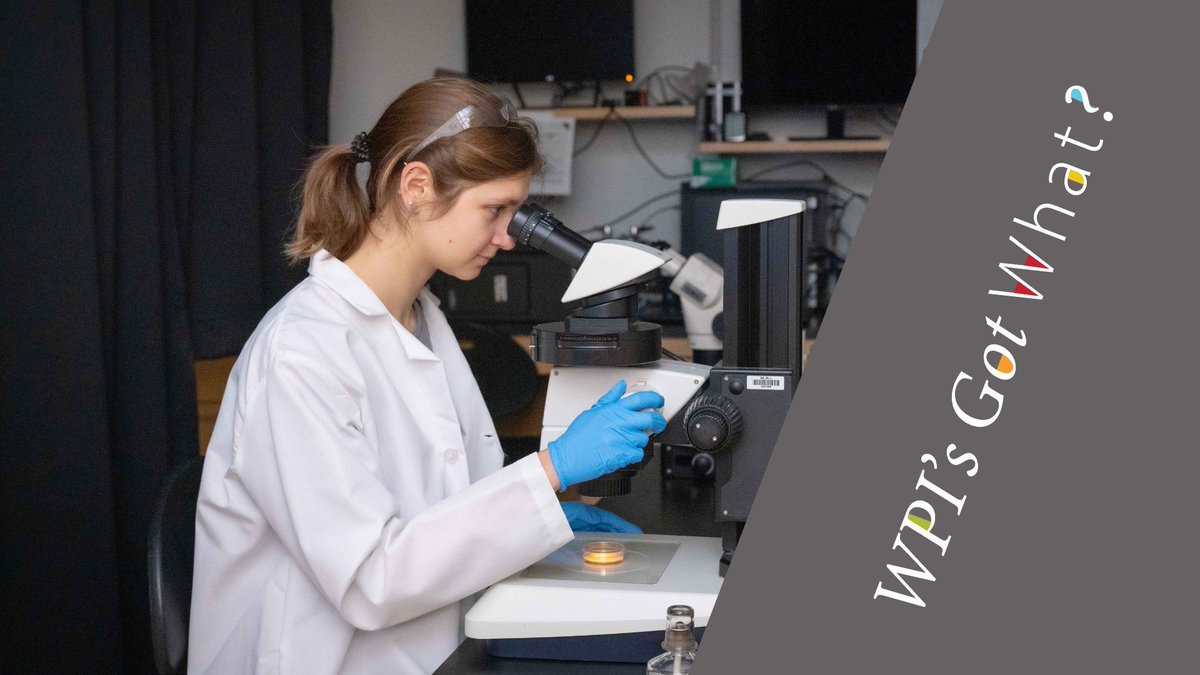 WPI's tweet photo. All WPI undergraduate students do significant research in pursuit of their degrees. It is in our DNA. See how WPI can help you be, do, and achieve more starting from day one. https://t.co/A57jFMrZ12 #WPIsGotWhat https://t.co/ucrml3YCvc