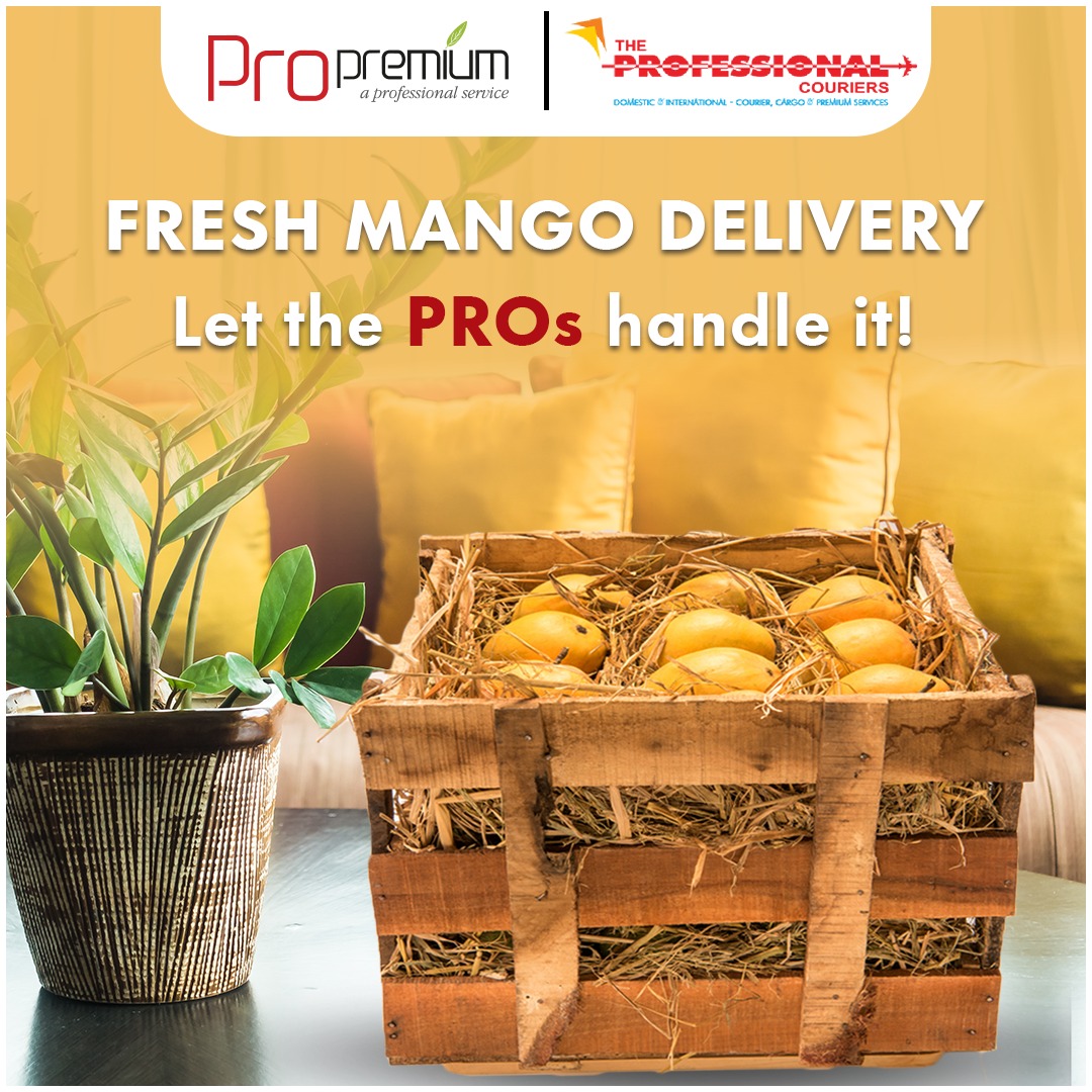 TPCGlobeCares's tweet photo. Experience the sweetest escape with our special mango delivery! The Professional Couriers ProPremium Service ensures fresh, juicy mangoes arrive at your doorstep. 
 
#TheProfessionalCourier #mangodelivery #CourierService #ConnectingDistance #CourierNow https://t.co/r3Kakqp78R