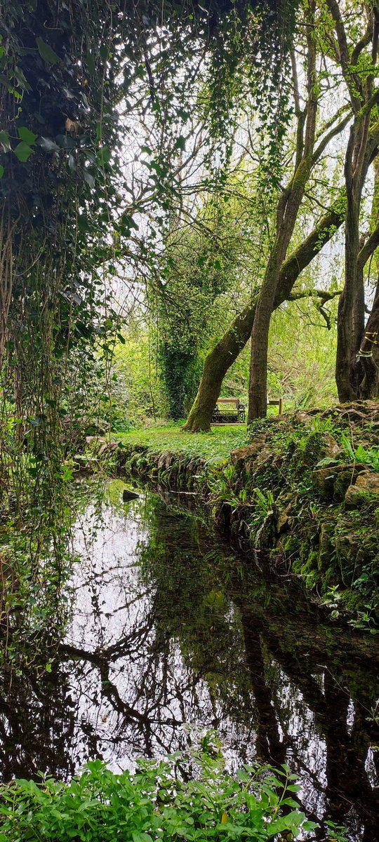 Peaceful tranquility. 🌿🌿. #NaturePhotograhpy #naturelovers