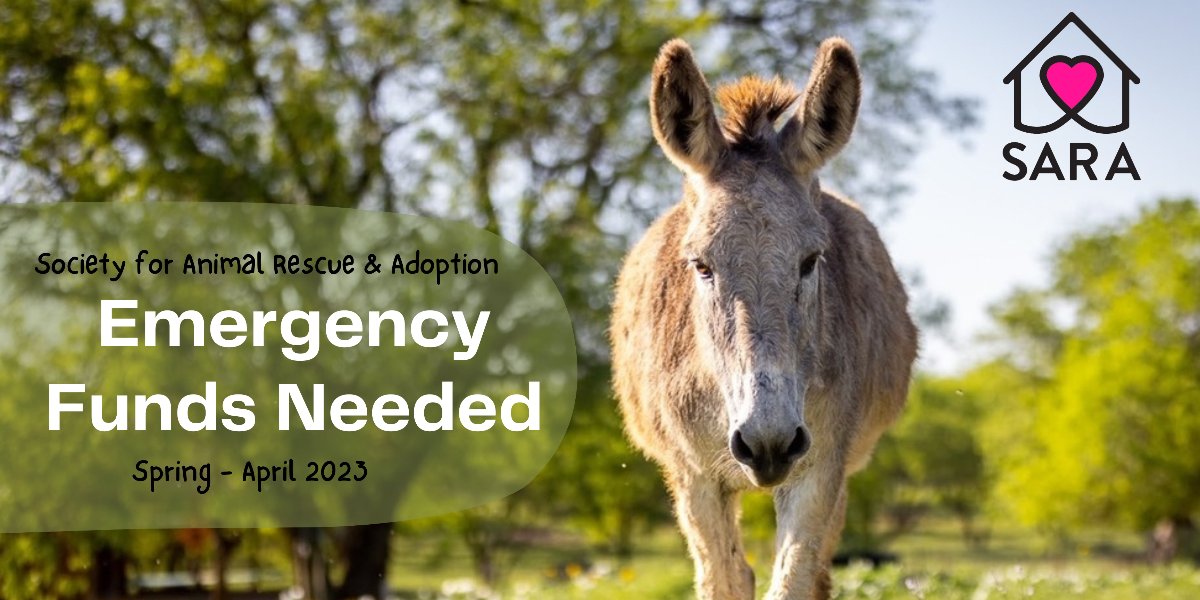 🚨 Overwhelmed &amp; over run with dumped animals. We need help immediately. Emergency funds needed for feed, vet care and for our small team of devoted animal sanctuary workers. mailchi.mp/sarasanctuary/…