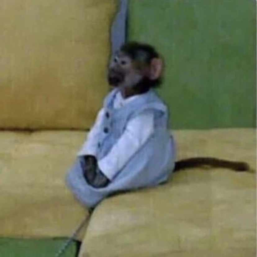Me checking my emails for the 70th time today looking for VSLO notifications