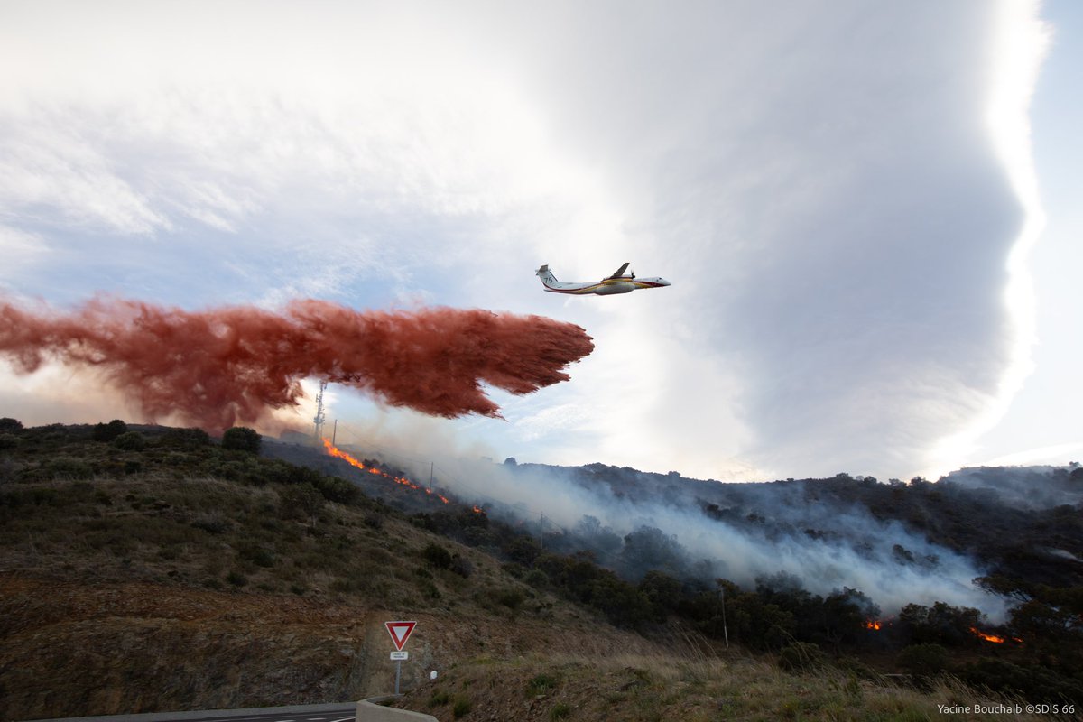 SDIS66's tweet photo. Le DDSIS66, le col  @eric_belgioino adresse tous ses remerciements à l’ensemble des moyens aériens de la @SecCivileFrance et aux renforts nationaux @Uiisc7 qui ont contribué à la lutte contre le feu de Cerbère en soutien des sapeurs-pompiers et de la population. #FDF2023 https://t.co/yyW1A5V851