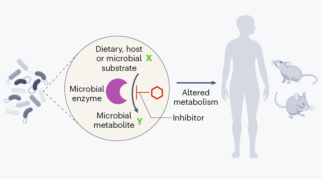 Nature Reviews Chemistry (@natrevchem) on Twitter photo Targeting the human gut microbiome with small-molecule inhibitors
nature.com/articles/s4157…
A Review by Emily Balskus and co-workers <a href="/BalskusLab/">Emily Balskus</a> <a href="/HarvardCCB/">Harvard Chemistry</a> <a href="/Harvard/">Harvard University</a> <a href="/una_py/">Universidad Nacional de Asunción</a> Targeting the human gut microbiome with small-molecule inhibitors
nature.com/articles/s4157…
A Review by Emily Balskus and co-workers <a href="/BalskusLab/">Emily Balskus</a> <a href="/HarvardCCB/">Harvard Chemistry</a> <a href="/Harvard/">Harvard University</a> <a href="/una_py/">Universidad Nacional de Asunción</a>