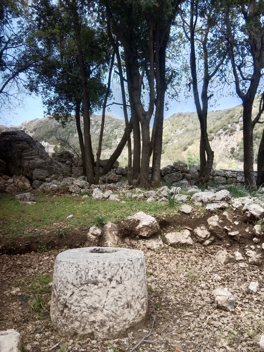 Exploring <a href="/Jabal_Moussa/">Jabal Moussa Biosphere Reserve</a> and it's surroundings in preparation of our final event in May!
More info coming soon!
<a href="/CISPorg/">CISP</a> <a href="/CoopCultureIT/">CoopCulture Italia</a> <a href="/JredsJ/">Royal Marine Conservation Society of Jordan JREDS</a> <a href="/JUSTEDUJO/">Jordan University of Science and Technology JUST</a> <a href="/MiC_Italia/">Ministero della Cultura</a> @ENICBCMed <a href="/EUinLebanon/">EU in Lebanon</a>