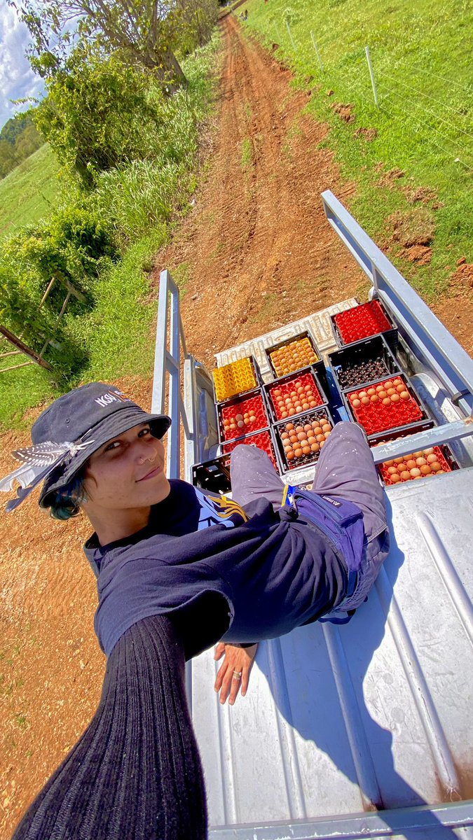 ✨🐣ChickTera.ETH🐥✨ tweet media