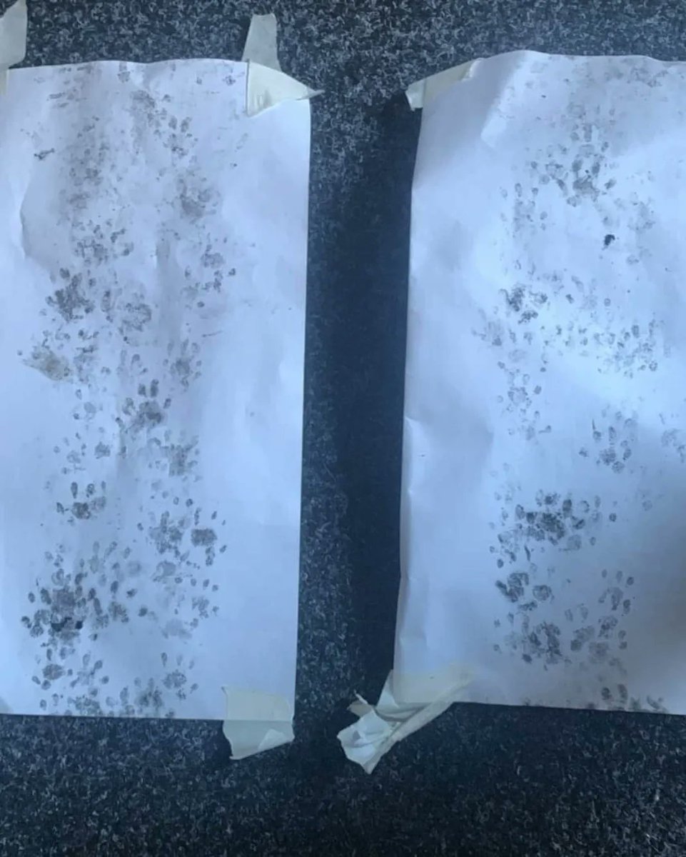 Hedgehog pawprints spotted near the Sports Centre <a href="/unilincoln/">University of Lincoln, UK</a>...and a very dirty cat is about near the Sarah Swift Building. Fortunately, the ink that we use is always wildlife friendly - although this cat might need a bath 🛁 🐈🐾🦔
 #HogFriendly