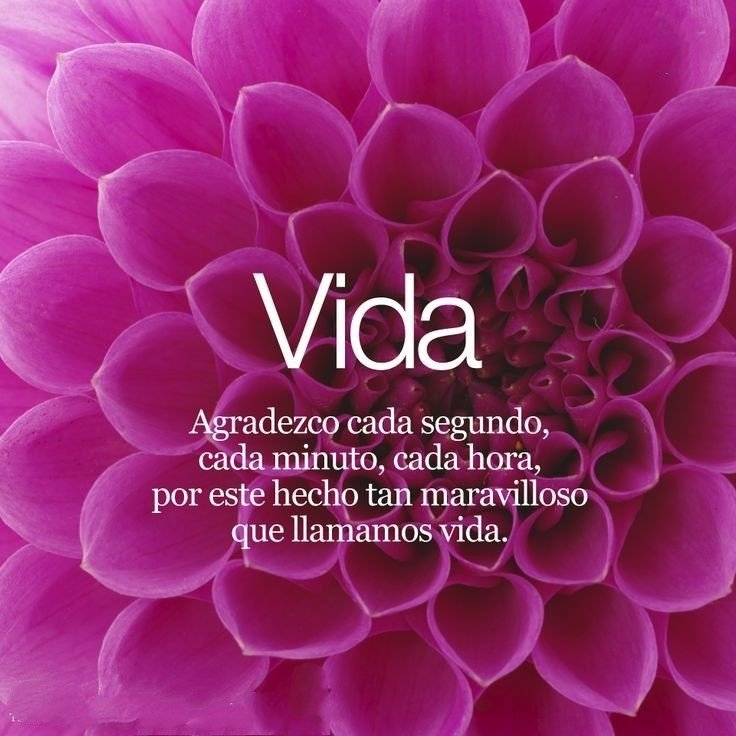 Namaste_mandalas (@namaste_mandala) on Twitter photo 