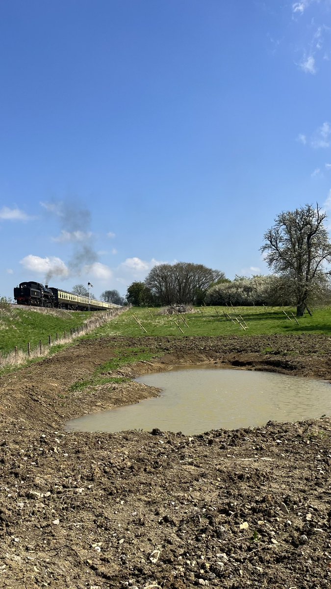 We’ve recently completed two projects working with GWSR to create NFM features to slow & store water. Looking forward to watching these become established and evolve.
#NFM #naturalfloodmanagement #watermanagement #biodiversity #slowtheflow #water #isbournecatch @worcscc @GWSR