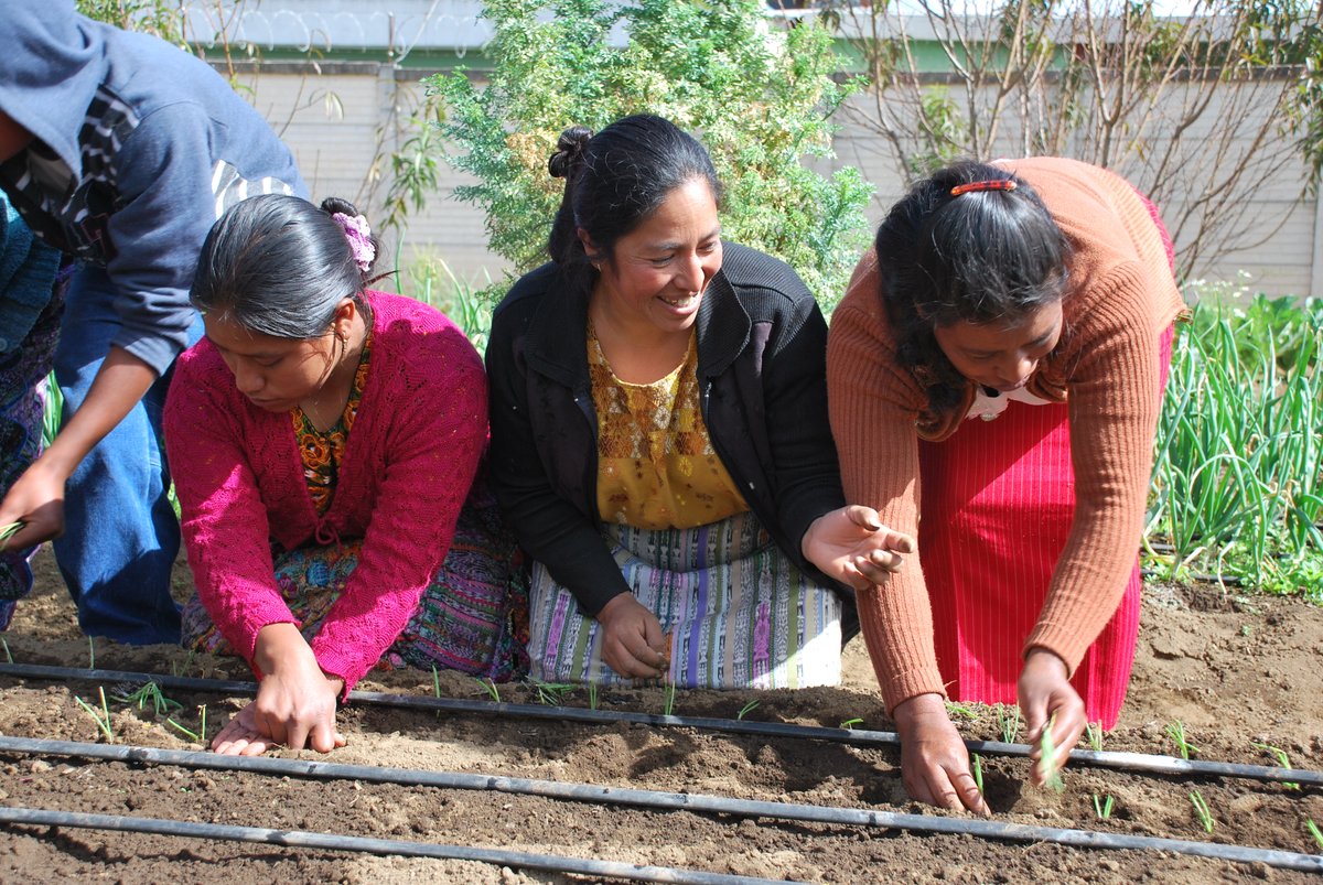 Would you like to strenghten your #nutrition actions but don't know how?

💡Check out our good practices series to learn from <a href="/SUN_Movement/">Scaling Up Nutrition (SUN) Movement</a> Countries' success stories and challenges ❗: scalingupnutrition.org/resources/good…