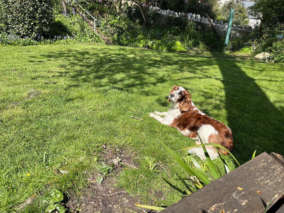 Kirsteen Titchener Artist tweet media