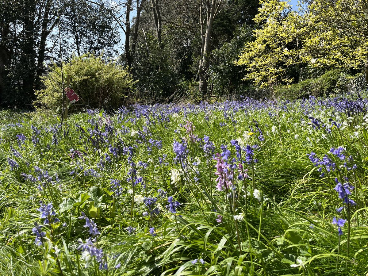 Kirsteen Titchener Artist tweet media