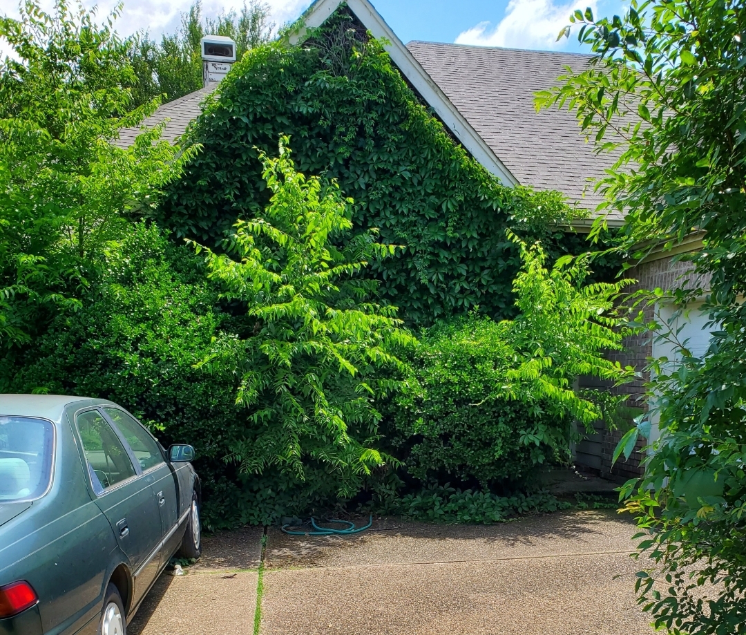 How do I find off market properties ? Let me break it down 🙌 Thread