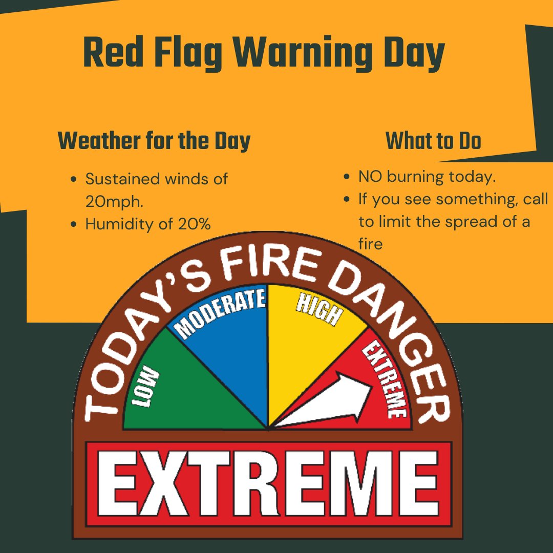 LouisaFEMS tweet media