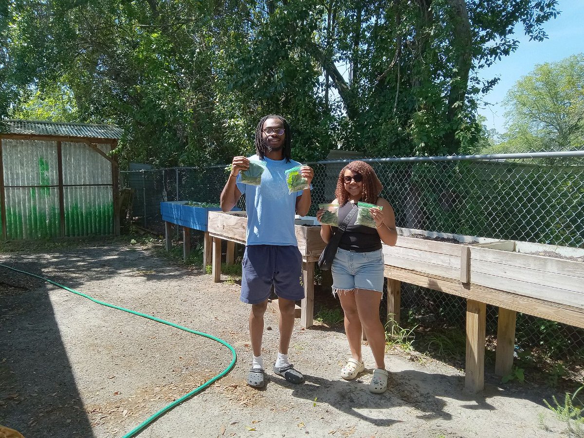 vsuenactusgreen's tweet photo. It was a wonderful time at the Greenhouse. Our collards and spinach grew nicely, and we were able to harvest bags for the Lamp residents. In addition, we were able to better optimize our space by creating an additional composting site! Can't wait for bigger and better things!!! https://t.co/bE7agH8oOf