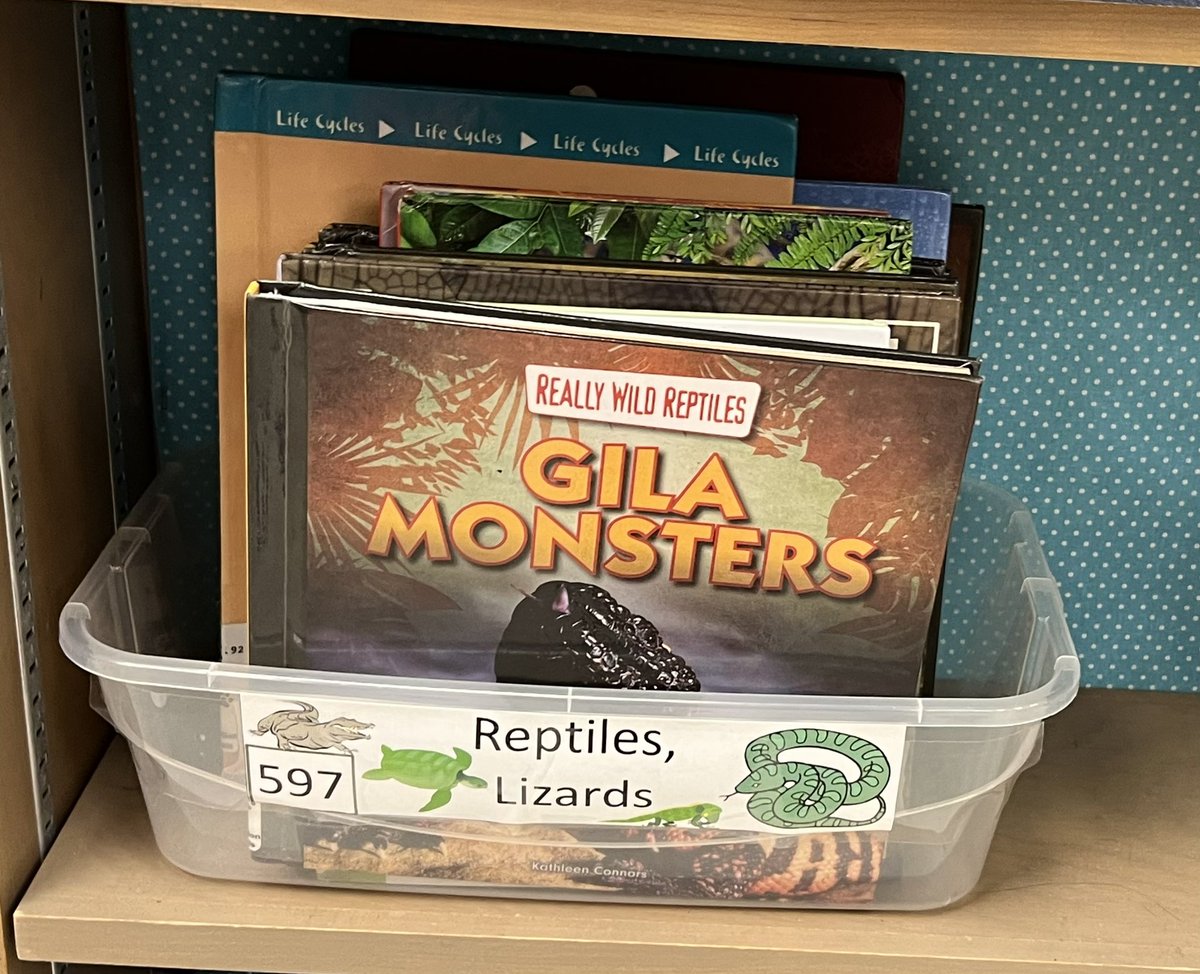 This years collection development plan included creating better signage for nonfiction. The old was starting to look smooshed. The new dividers make it so much easier for students to find books! @BCPSLMP #BCPSLMS #AASLslm