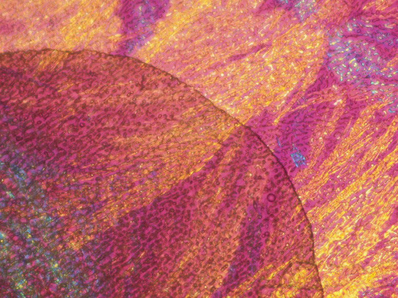 The McCrone Group tweet media