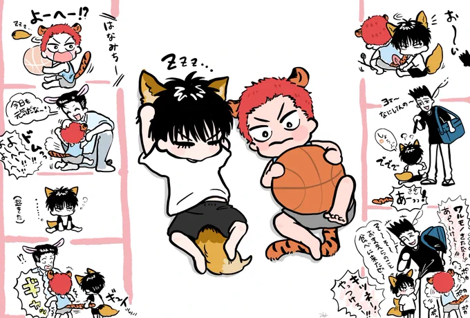 ちぃこい🦊ルと🐯🌸
🐰ヨヘ 🦔(人間) 