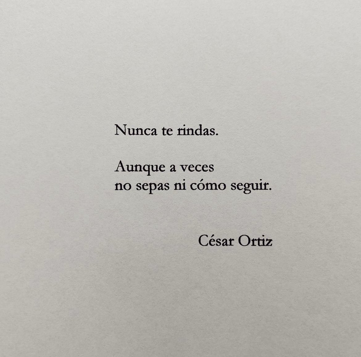 Tira La Posta tweet media