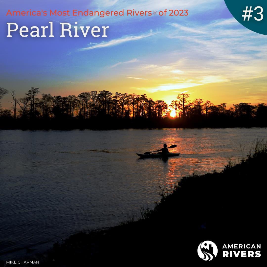 BREAKING: @AmericanRivers just listed the Pearl River as one of the #MostEndangeredRivers of 2023. Tell U.S. Army Corps of Engineers, Headquarters, USWFS and EPA to STOP the #OneLakeProject NOW!
Read the American Rivers listing and TAKE ACTION here: mostendangeredrivers.org/river/pearl-ri…
