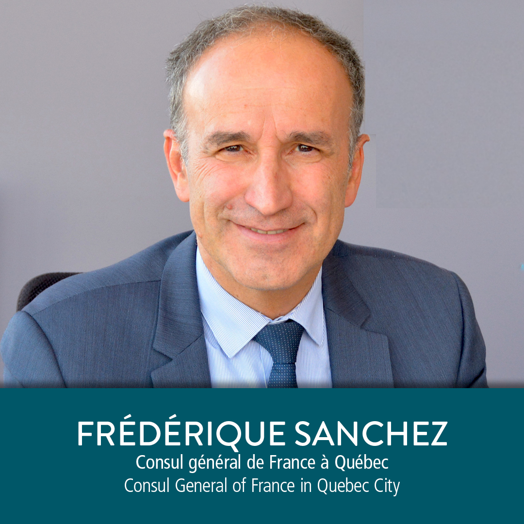 metropolisbleu tweet media