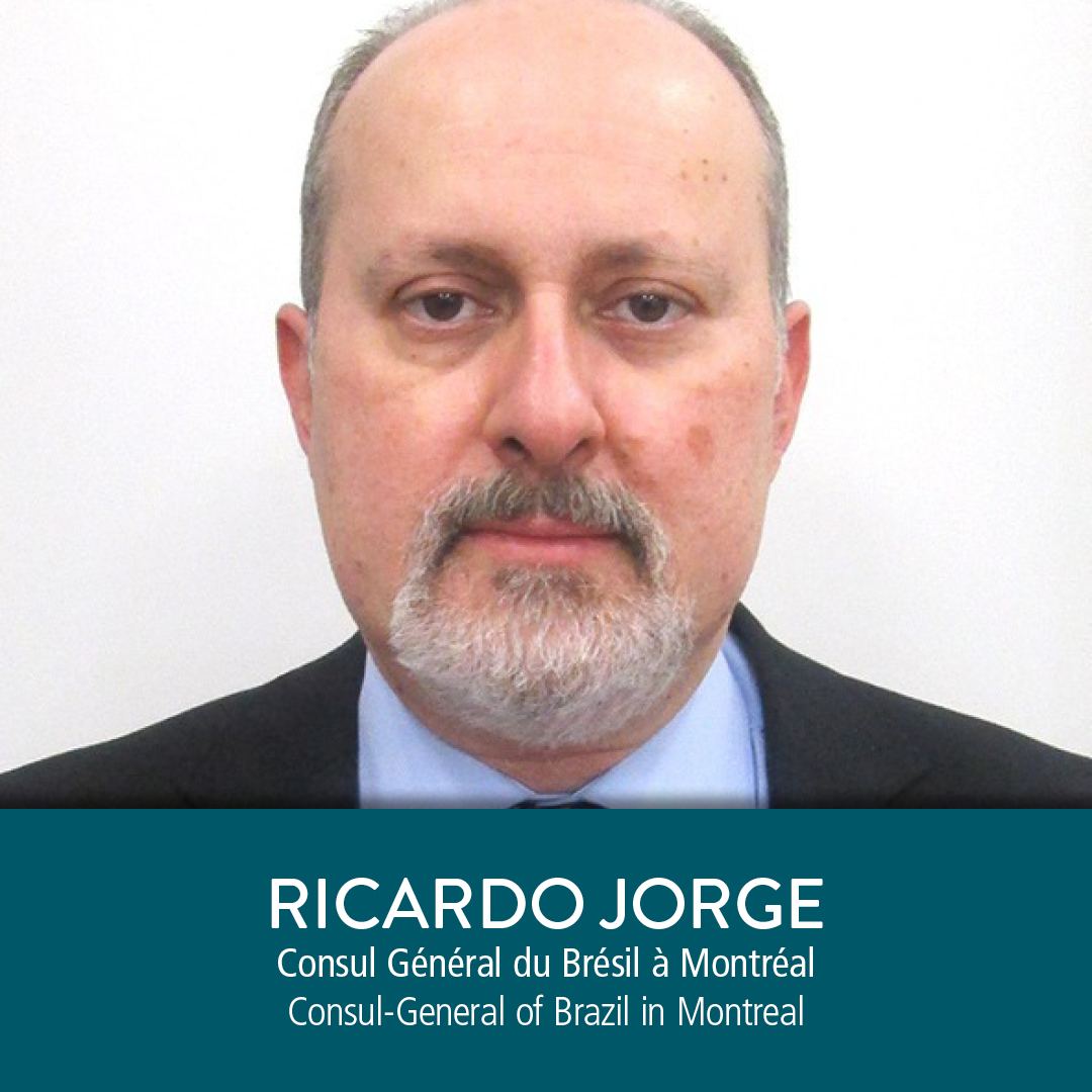 metropolisbleu tweet media