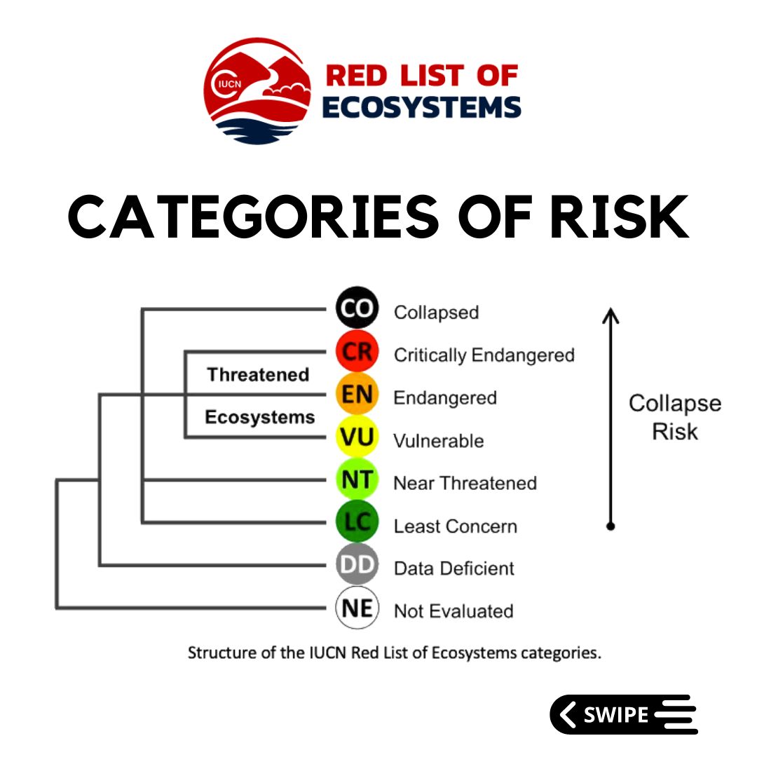There are 8 possible categories of risk for each ecosystem. 
3 of them are assigned based on quantitative thresholds: Critically Endangered (CR), Endangered (EN) , and Vulnerable (VU). 

To learn more, visit our website.
Click below 👇 
buff.ly/41d0jeo 

@iucn_cem