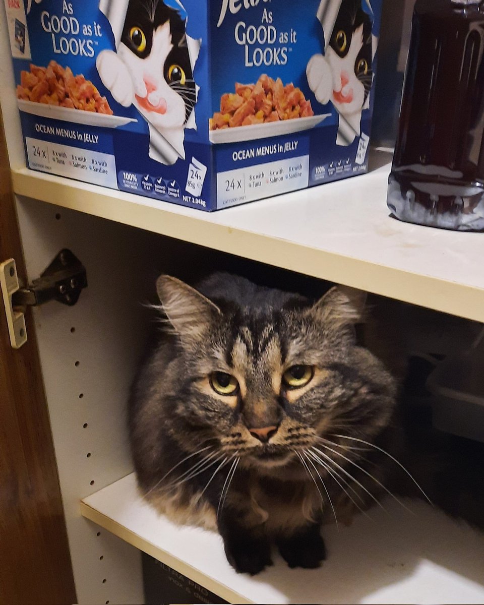 Phil Baker tweet media