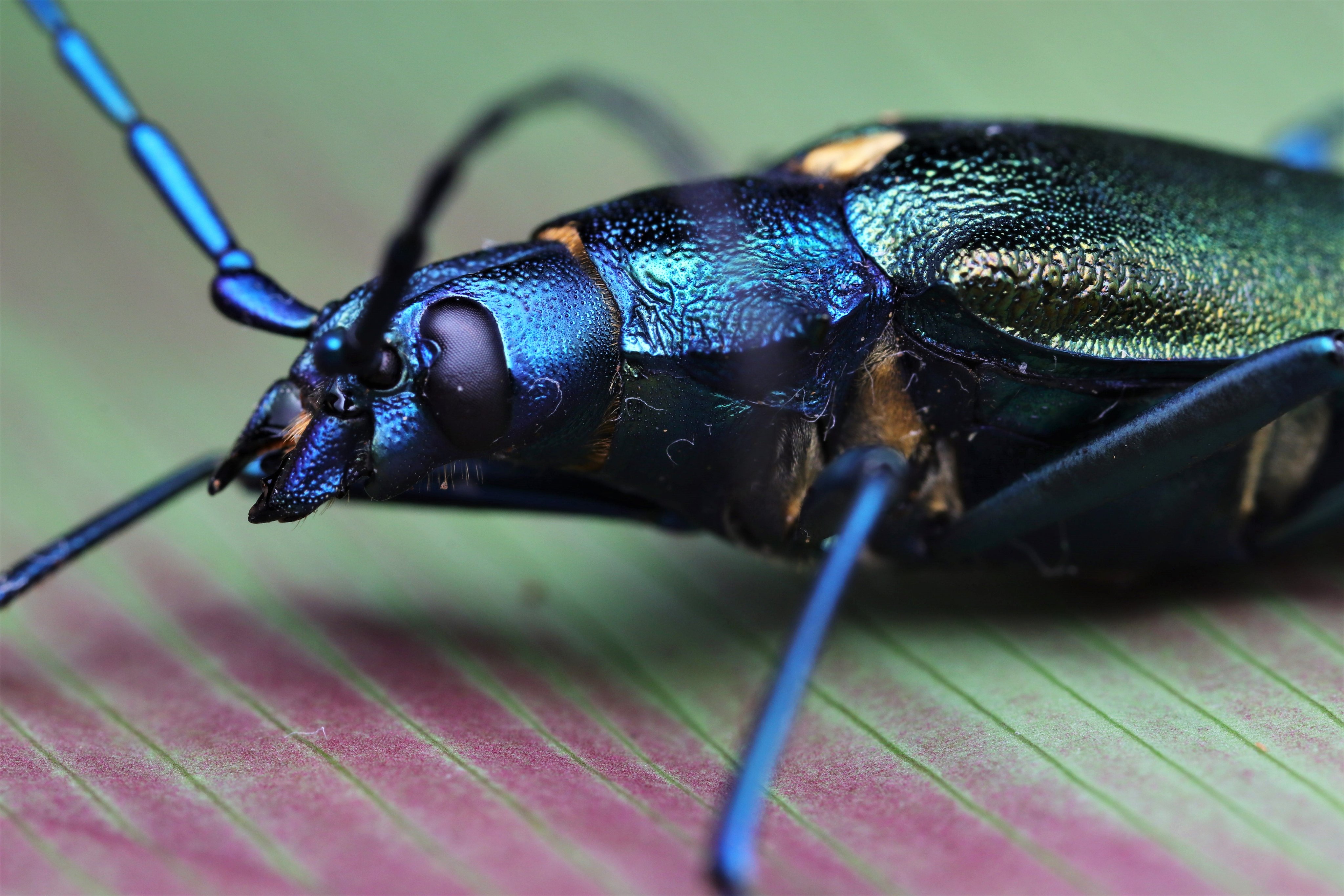 Ross Piper (DrRossPiper) / Twitter