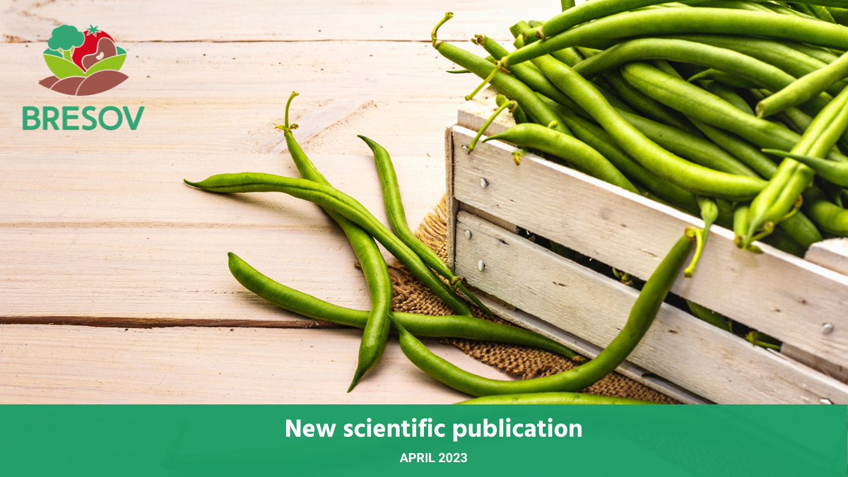 Check out a new scientific publication on the common bean 🫘🤩 👇👇👇