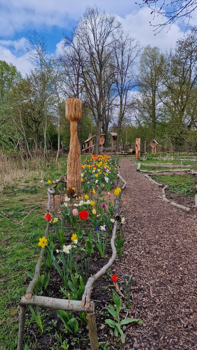 natuurkamer's tweet photo. Het kleurt en geurt in onze #bloementuin. Daar kun je toch alleen maar blij van worden?! 🌷
@deNatureluur #voorjaar #lente #gefladder #sloterpark #spring https://t.co/kCWUq5z5zX
