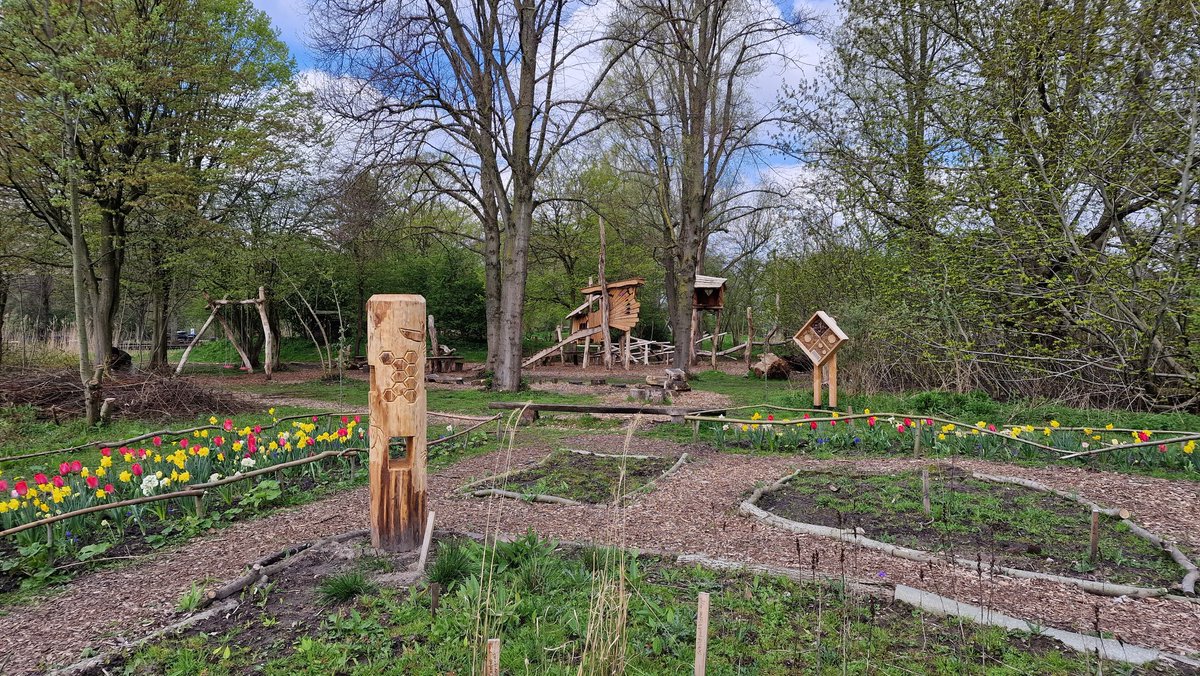 natuurkamer's tweet photo. Het kleurt en geurt in onze #bloementuin. Daar kun je toch alleen maar blij van worden?! 🌷
@deNatureluur #voorjaar #lente #gefladder #sloterpark #spring https://t.co/kCWUq5z5zX
