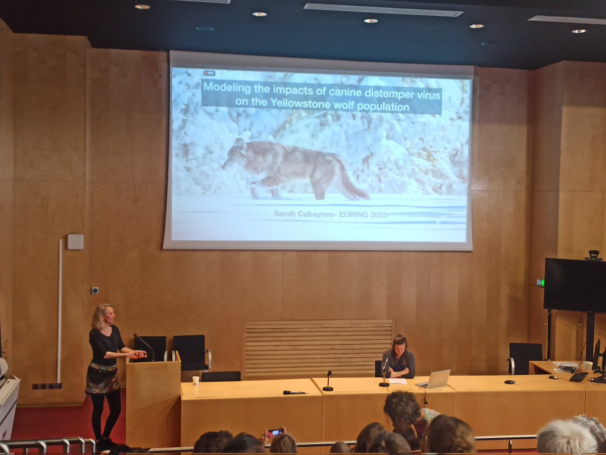 C_Francesiaz's tweet photo. Listening to @SarahCubaynes at #euring2023 "Modeling the impacts of canine distemper virus on the Yellowstone wolf population" 🐺
Great presentation...as usual ! 🥳
@FemmesSciences
@_EURING @twitthair1 https://t.co/NoNbF5yYWY
