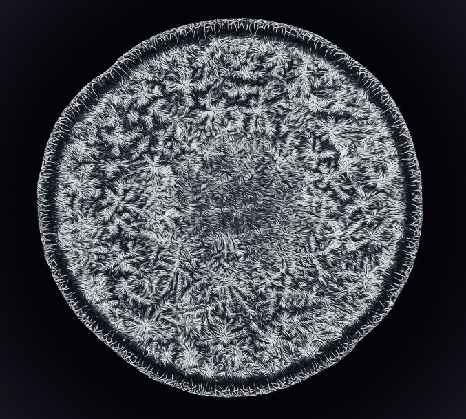 microscopicture's tweet photo. human tear drop under the microscope https://t.co/dE9h2aI20Z