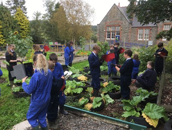 JamieBrysonSHS's tweet photo. Very exciting Depute Headteacher opportunity at Selkirk High School. Join an amazing team in a wonderful community. Cracking remit. Get in touch to find out more!
https://t.co/P6CKdedE7Y https://t.co/IefpNTkaYG