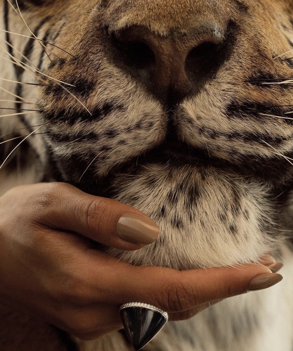 DRIP (@dript3r) on Twitter photo 