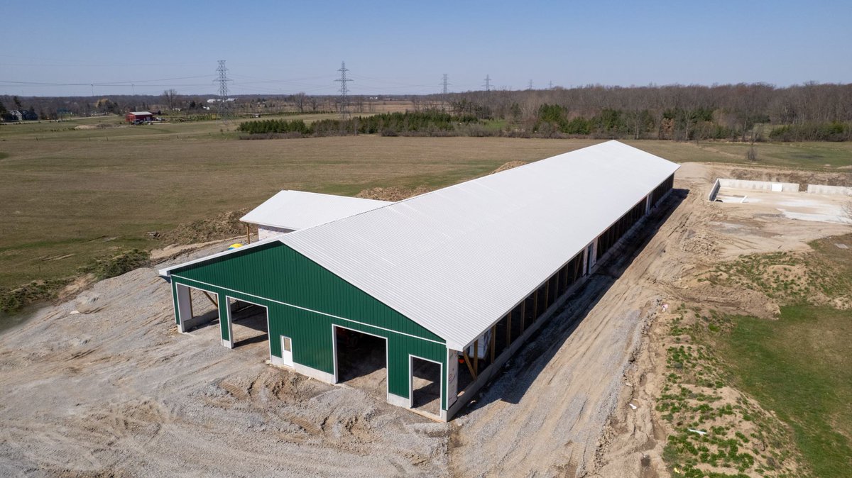 NationalBuildi2's tweet photo. Well, she definitely looks great in green!
Great to see the Comfort project in St Ann's all closed up. Can't wait for the doors!
#ag #dairyfarm
#dairyfarming #barnraising #barnbuilder #freestall #builder #agriculture #niagara https://t.co/dqxkPa09OS